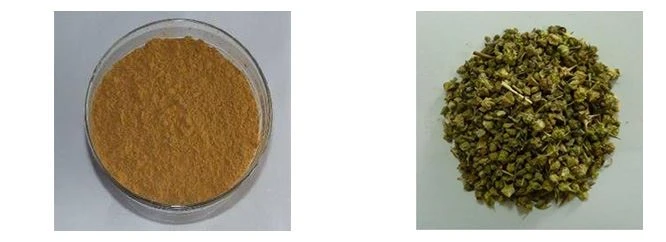 Tribulus Terrestris Extract Tribulus Terrestris Extract