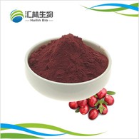 Cranberry-Extrakt-Pulver