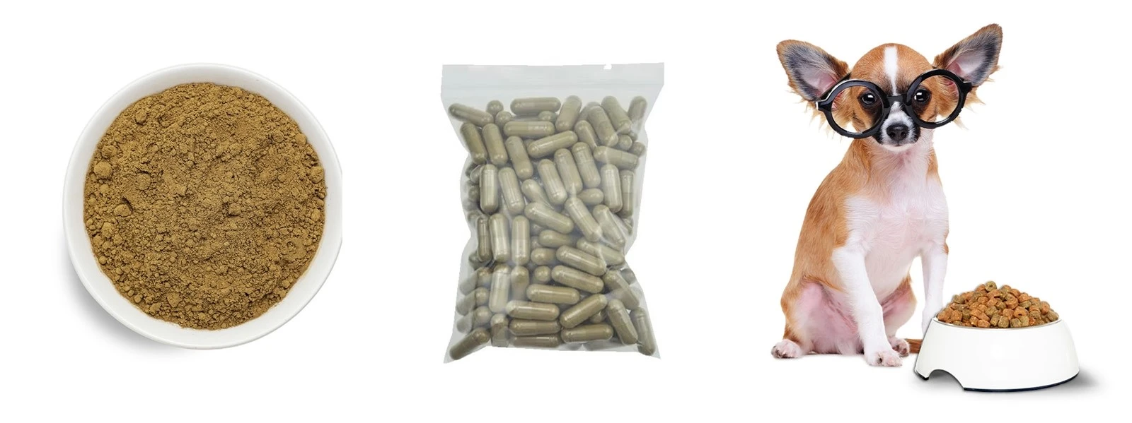Chicken Gizzard Lining Extract Powder Chicken Gizzard Lining Extract Powder