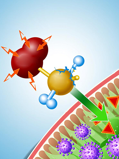 Gene Expression Reprogramming, ECM Remodeling, Antioxidant, Angiogenesis Gene Expression Reprogramming, ECM Remodeling, Antioxidant, Angiogenesis